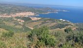 Trail Walking Banyuls-sur-Mer - Banyuls cerbere  - Photo 3