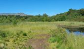 Trail Walking Picherande - picherande  - Photo 2