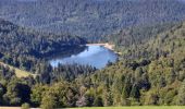 Tour Rennrad Gerdsee - schlucht markstein.gerardmer - Photo 1