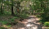 Trail Walking Marray - Marray - Les versants de la Dême - Photo 2