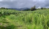 Tocht Stappen Le Lorrain - Boucle Dorival, Crabière, Bon Repos, Man Ti-Fre, Savon - Photo 1