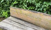 Trail Walking Rendeux - Marcouray - Photo 16
