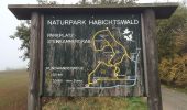 Trail On foot Fritzlar - Lohne, L1 - Zum Steinkistengrab - Photo 2