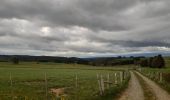 Tour Wandern Vielsalm - fraiture - plateau des tailles  - Photo 5