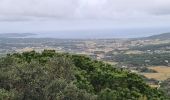 Trail Walking Ramatuelle - Col de Collebasse direction piste de la tourraque piste des Brouis - Photo 12