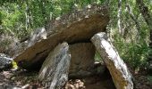 Randonnée Marche Barjac - 2020 06 17 dolmen de Barjac  - Photo 2