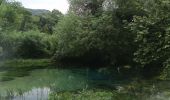 Trail Walking Saint-Jean-de-Buèges - St Jean de Buèges  - Photo 10