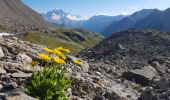 Trail Walking La Plagne-Tarentaise - Beaufortain: Autour de La Pierra Menta: J3 - Ref de Presset - Ref du Col du Bonhomme - Photo 8