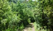 Trail Walking Tharaux - Tharaux - Photo 14