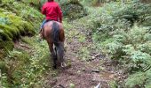 Trail Horseback riding Bastogne - Livarchamps 18/09/2022 - Photo 5