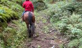 Trail Horseback riding Bastogne - Livarchamps 18/09/2022 - Photo 5