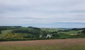 Tour Wandern Bastnach - rando lutrebois 2-06-2022 - Photo 12