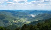 Tocht Te voet Gemeinde Mühldorf - Welterbesteig Wachau Etappe 5 - Photo 8