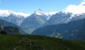 Tocht Te voet Grindelwald - First - Bachalpsee - Fauhlhorn - Schynige Platte - Photo 4