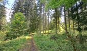 Randonnée Marche Séchilienne - Réserve naturelle du lac Luitel - Photo 2