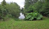 Trail Walking Elven - PR_56_Elven_AA_01_Bois-Et-Cours-D-Eau_Circuit1b_20210707 - Photo 6