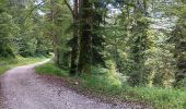 Tour Wandern Charix - lac de genin - bretouze /  retour - Photo 14