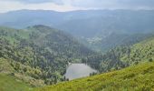 Trail Walking Stosswihr - Honeck depuis Gaschney - Photo 6