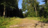 Trail Walking Oigny-en-Valois - en forêt de Retz_81_vers les étangs de Bourcq et sur le GR11 - Photo 15