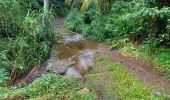 Trail Walking Le Lorrain - Chemin Gauthier - Chemin Tanic - Photo 4