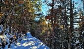 Tour Wandern La Beaume - Ranc de Chamoussière - Crête de la Longeagne - Photo 2