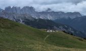 Trail Walking Brixen - Bressanone - Plose Schatzerhütte - Photo 3