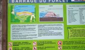 Tour Wandern Urbeis - Les deux lacs - Photo 16