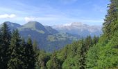 Trail Walking Manigod - Col de la Croix du Fry - Photo 2