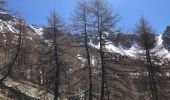 Excursión Raquetas de nieve Entraunes - Tête de Sanguinière - Photo 2