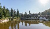 Percorso A piedi Brașov - Poiana Brașov - Padina Lăutei - Cabana Postăvaru - Photo 6