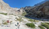 Excursión Senderismo Vallouise-Pelvoux - le refuge glacier blanc et le point de vue sur la barre - Photo 17