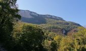 Trail Walking Seyssinet-Pariset - bois de vouillant 2020 - Photo 2
