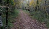 Trail Walking Pontours - Pontours 15,5km - Photo 2