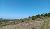 Trail Walking Ansignan - sentier des dolmens en fenouillèdes - Photo 10