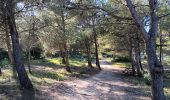 Trail Walking Leucate - leucate . franki plage . leucate - variante - Photo 13