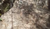 Trail Walking Roquebrune-sur-Argens - les 3 croix - Photo 7