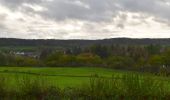 Trail Walking Limbourg - 20221107 - Goé 6.6 Km - Photo 17