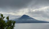 Tocht Stappen Horta (Angústias) - Horta, Faial: Monte Queimado et Monte da Guia (PRC 08 FAI) - Photo 5