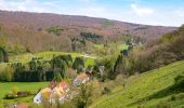 Randonnée A pied Schieder-Schwalenberg - Stadtwasser - Photo 6