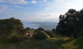 Trail Road bike Le Lavandou - bormes col canadel bormes - Photo 5