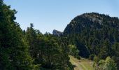 Tocht Stappen Lans-en-Vercors - Rando vertige des cimes Septembre 2022 - Photo 2