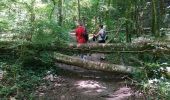 Randonnée Marche Bouilly - Forêt de Laines aux Bois - Photo 4