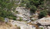 Trail Walking Colombières-sur-Orb - de colombieres sur orb aux avels superbe - Photo 3