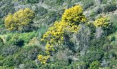 Tour Wandern Fréjus - SityTrail - Malpasset - Photo 17