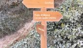 Tour Wandern Nizza - Mont Leuze - Photo 2