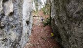 Trail Walking Ferrette - Ferrette Chalet de Koestlach au Kastelberg - Photo 2