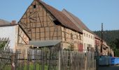 Tour Zu Fuß Bad Berka - grüner Balken Tannroda - Photo 10