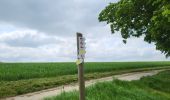 Tour Wandern Walcourt - Walcourt 230523 - Photo 2