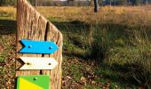 Tour Wandern Pelt - Tweelandenpad Hageveen De Plateaux - Photo 3