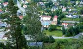 Trail On foot Unknown - Tabergs-å-leden - Photo 4